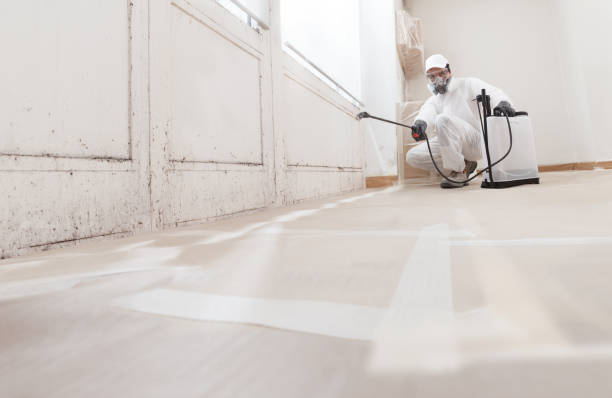 24/7 Emergency Black Mold Remediation experts in Danville, VA
